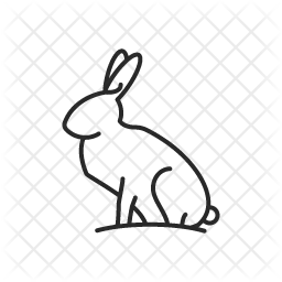 256x256 Hare Icon Of Line Style