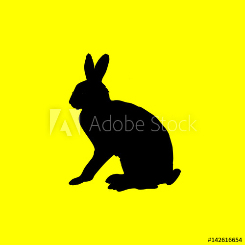 500x500 Hare Icon