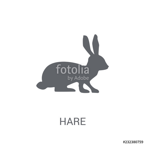 500x500 Hare Icon Trendy Hare Logo Concept On White Background