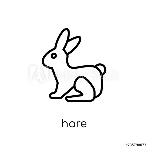 500x500 Hare Icon Trendy Modern Flat Linear Vector Hare Icon On White