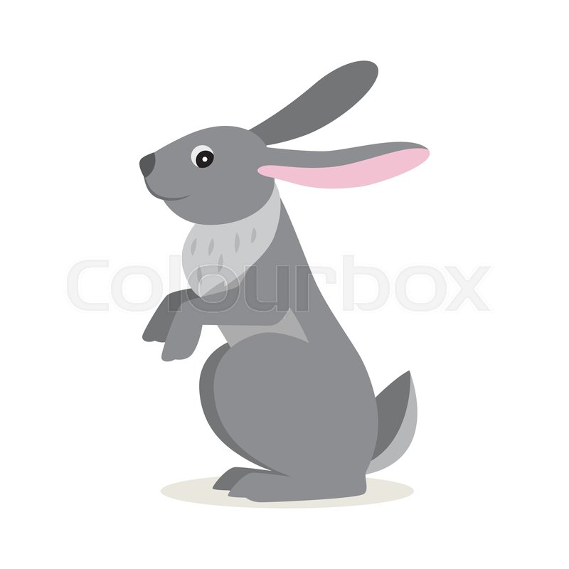 800x800 Icon Of Funny Cute Gray Hare Or Rabbit Stock Vector Colourbox
