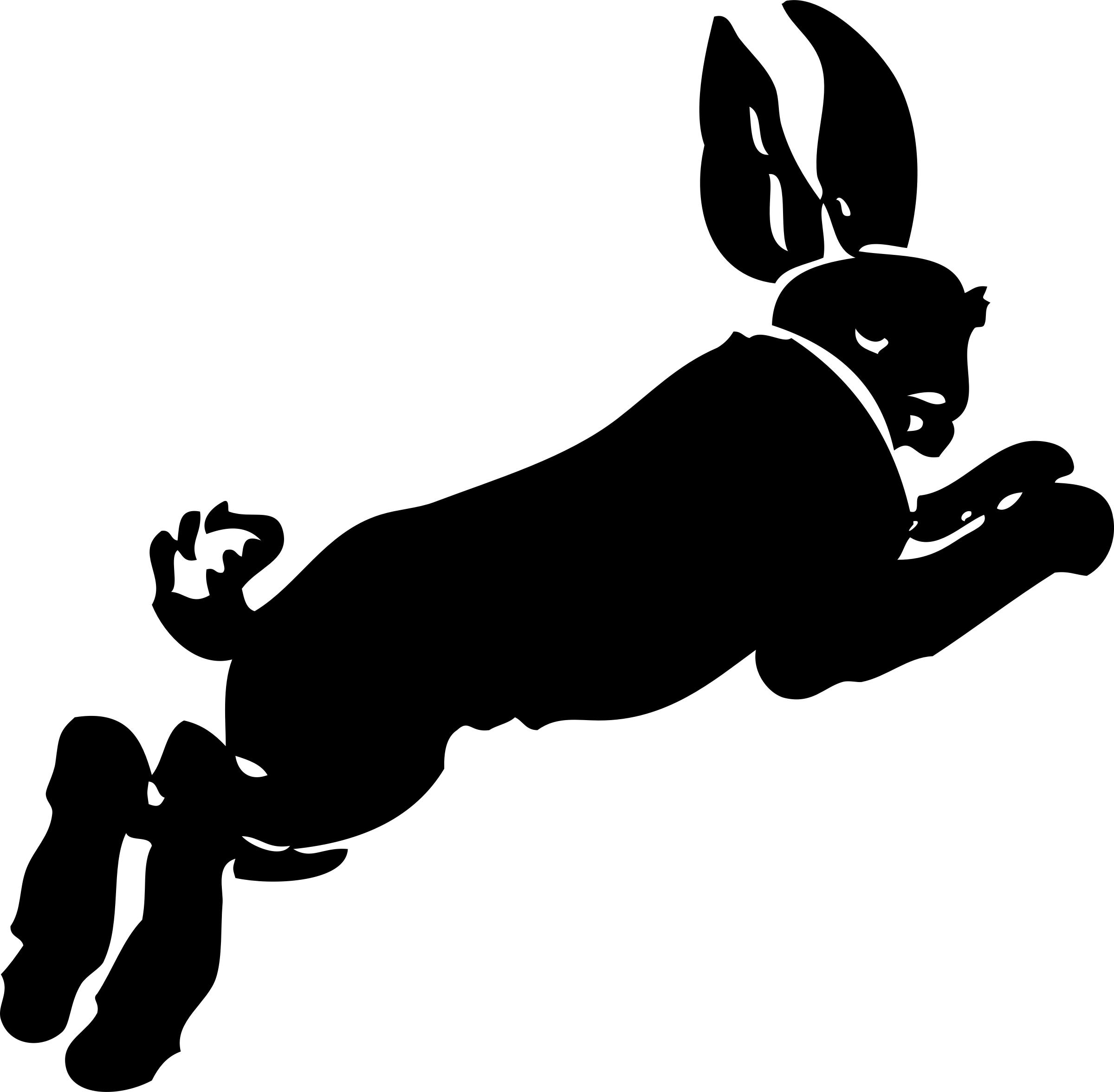2400x2352 Black Hare Icons Png