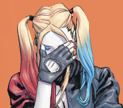 250x219 Harley Quinn Icons Tumblr
