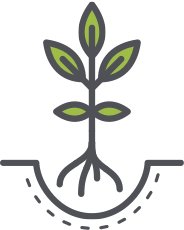 184x230 Harvest Icon