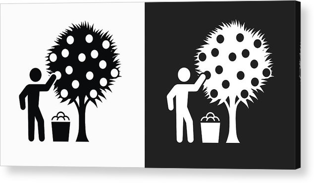 634x369 Harvest Icon On Black And White Vector Backgrounds Acrylic Print