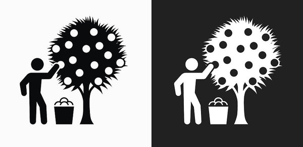600x292 Harvest Icon On Black And White Vector Backgrounds Art Print