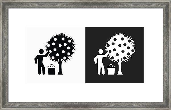 600x388 Harvest Icon On Black And White Vector Backgrounds Framed Print