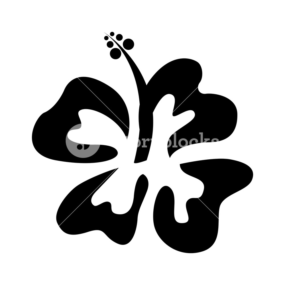 1000x1000 Hawaii Cute Flower Icon Vector Illustration Design Royalty Free