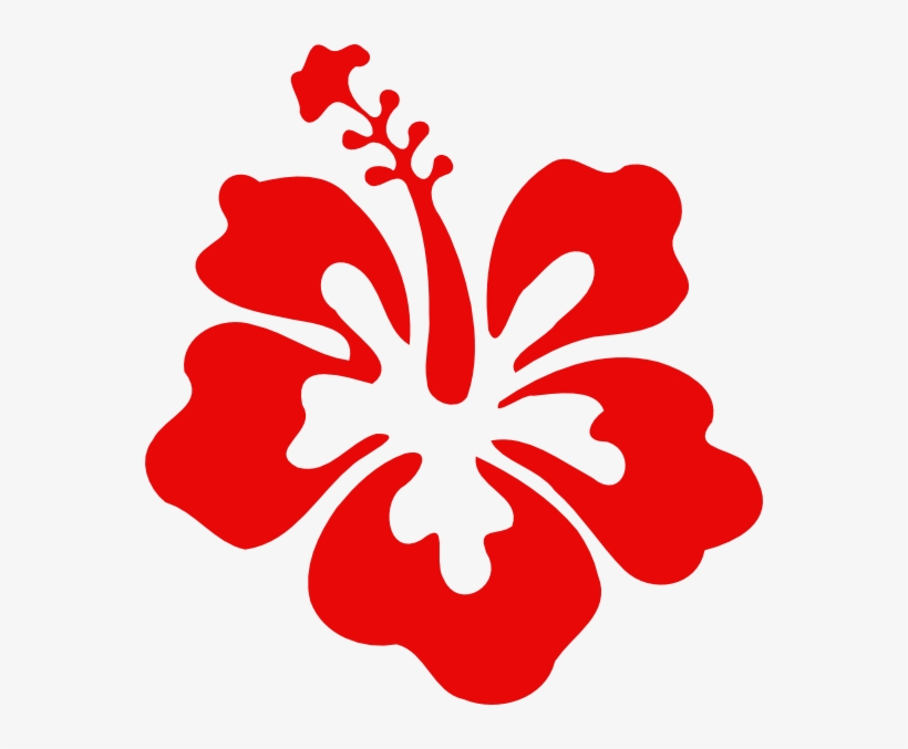 820x677 Flower Petals Icon Packs Vector