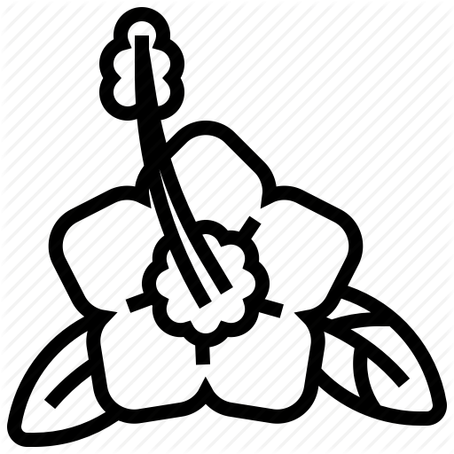 512x512 Flora, Flower, Hawaii, Mugunghwa Icon