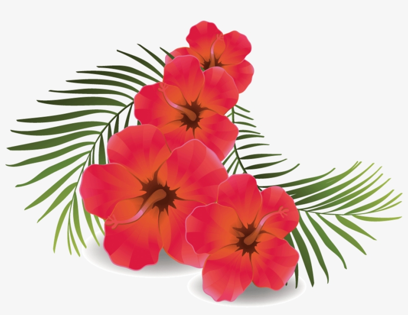 820x634 Rose Flower Png