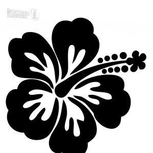 300x300 Stock Photo Hawaii Cute Flower Icon Vector Illustration Design