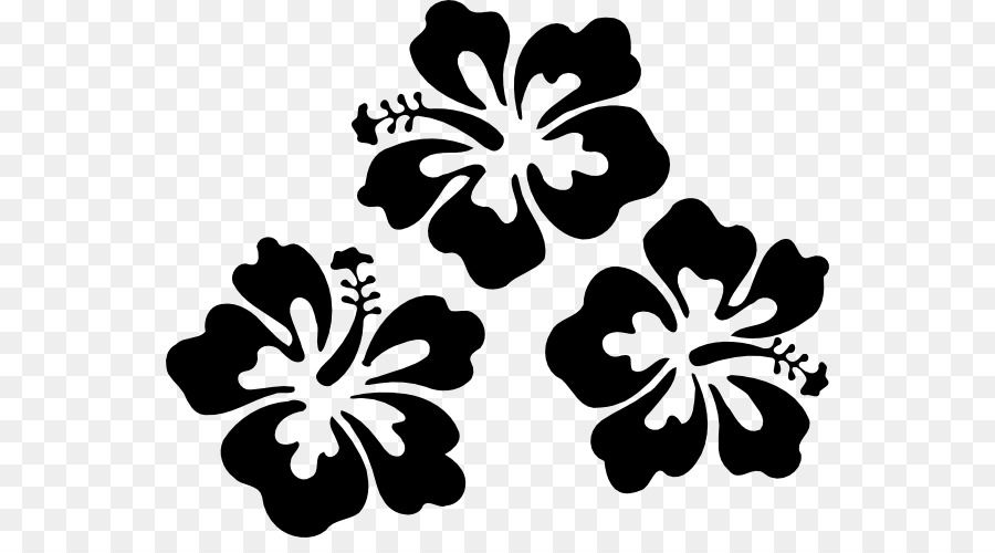 900x500 Blue Hibiscus Shoeblackplant Computer Icons Clip Art