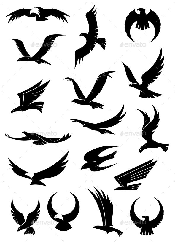 590x823 Flying Eagle, Falcon And Hawk Icons Tattoo Ideas Falcon Tattoo