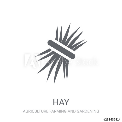500x500 Hay Icon Trendy Hay Logo Concept On White Background
