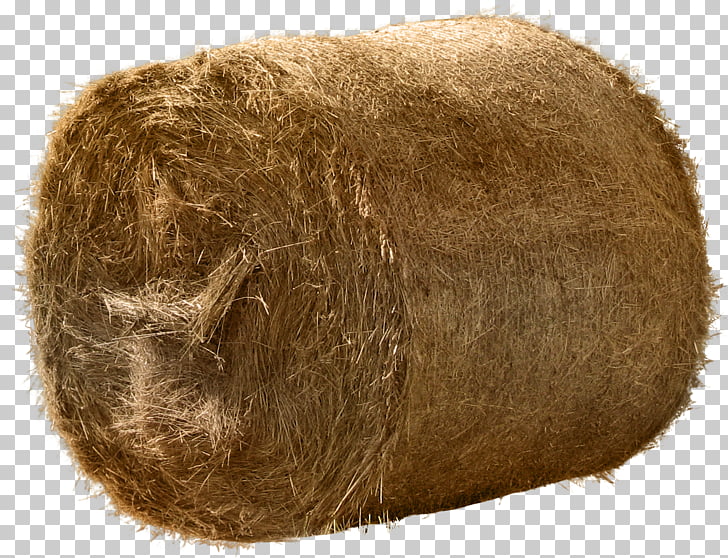 728x558 Icon, Brown Hay Drums, Brown Hay Roll Png Clipart Free Cliparts