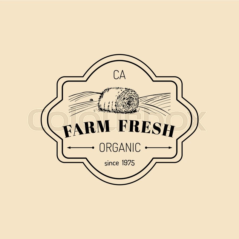 800x800 Vector Retro Farm Fresh Logotype Stock Vector Colourbox