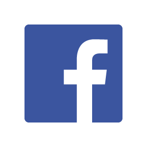 300x300 Facebook Logo Vector