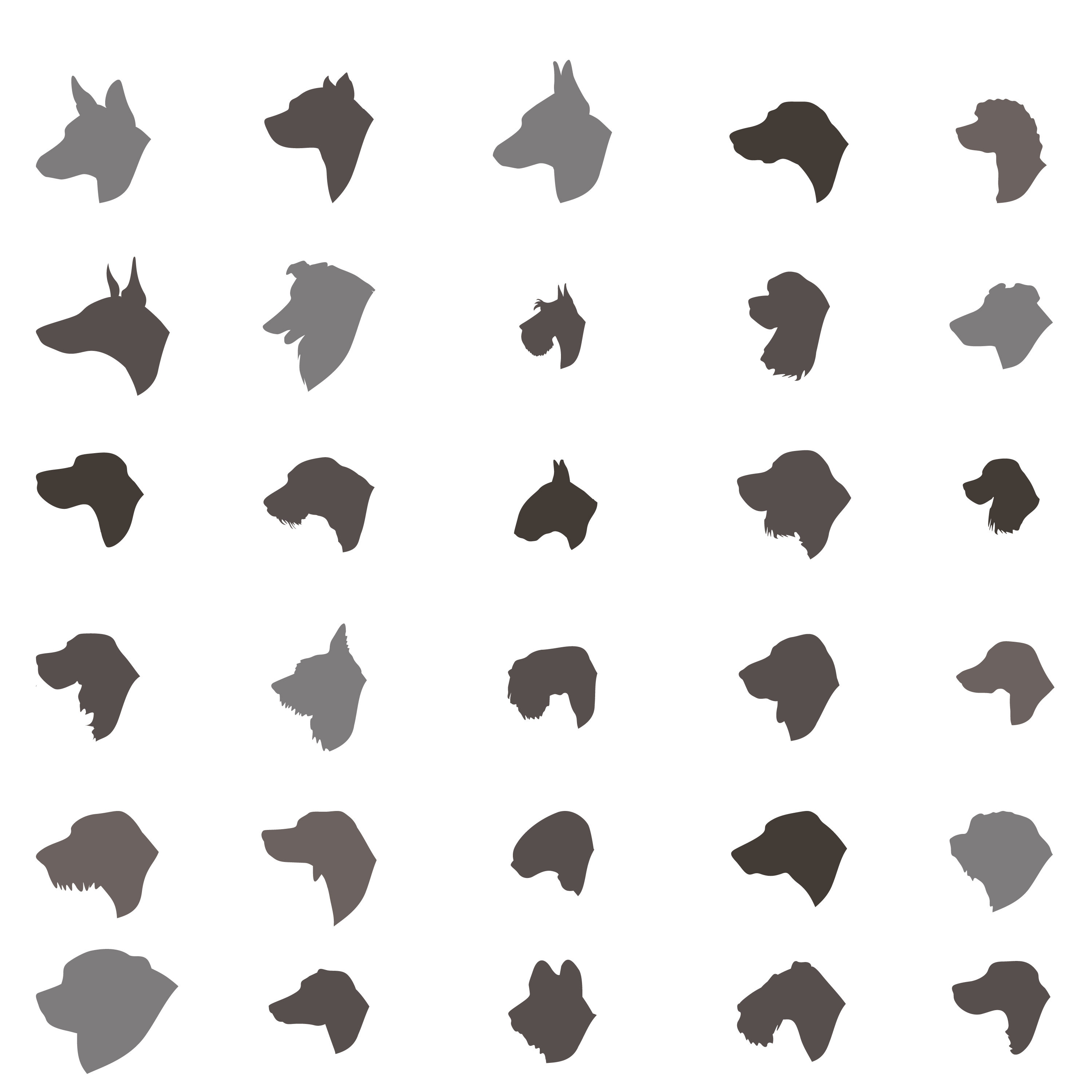 3000x3000 Dog Head Silhouette Icon Set Different Dos Breed Sign
