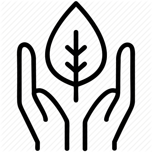 512x512 Healthy Stuff, Natural Beauty, Natural Ingredient, Natural