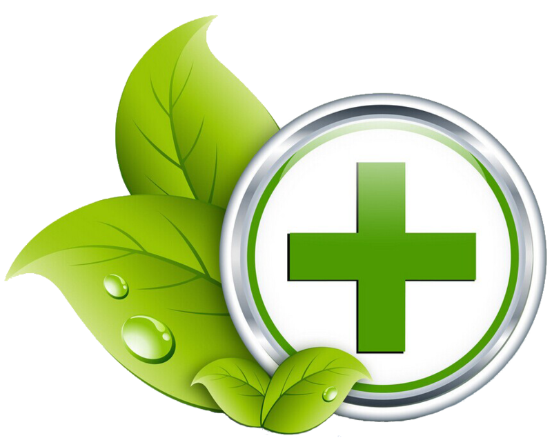 800x635 Download Free Png Green Healthcare Medicine Health Care Icon