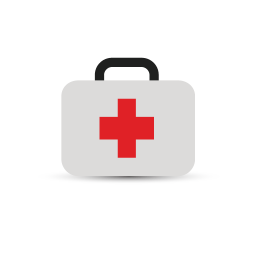 256x256 Healthcare Icon Myiconfinder