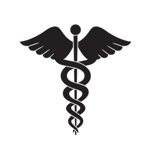 300x300 Healthcare Icon Chandrakala Siramdas