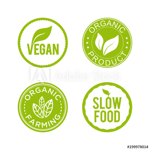 Healthy Food Icon at Vectorified.com | Collection of Healthy Food Icon ...