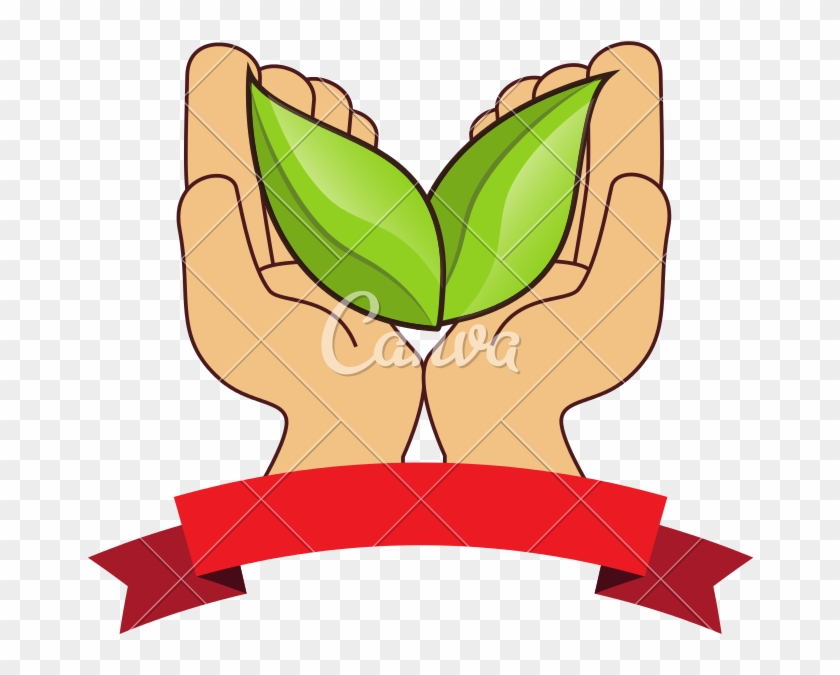 840x675 Leaves Healthy Food Icon