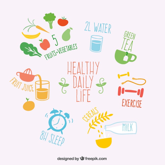 Healthy Icon at Vectorified.com | Collection of Healthy Icon free for ...