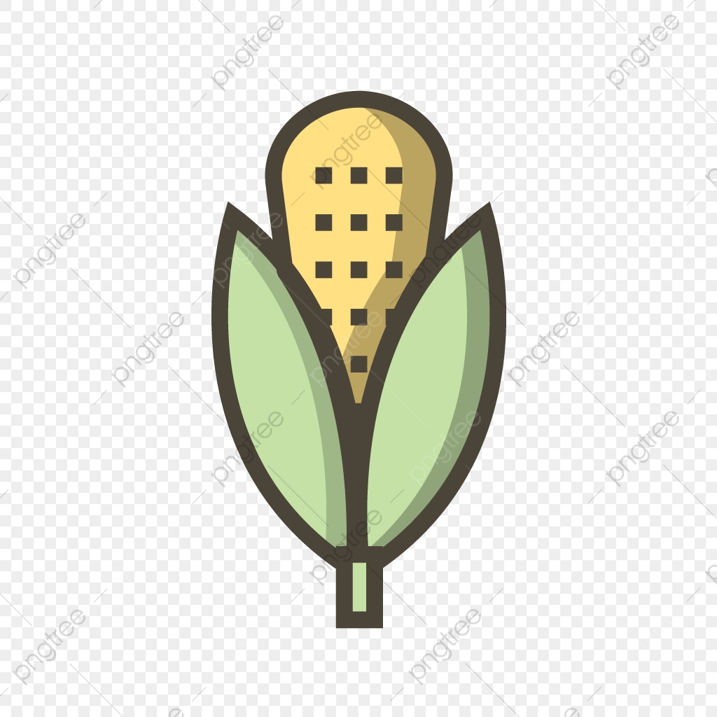 1024x1024 Vector Corn Icon, Corn Icon, Food Icon, Healthy Icon Png