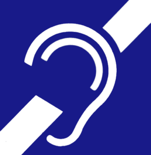 300x308 Hearing Loss