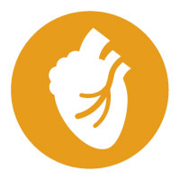 200x200 Heart Disease Icon Positively Aware