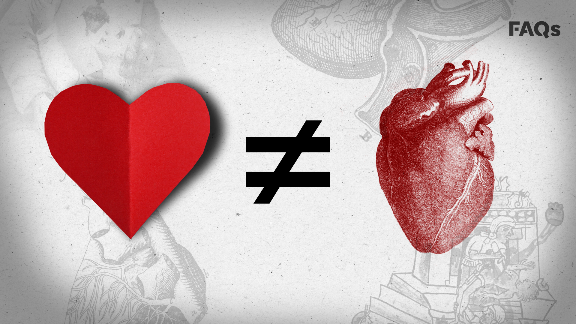 Valentine's Day Why The Heart Icon Looks Nothing Like A Human Organ 1920x1080 Valentine's Day Why The Heart Icon Looks Nothing Like A Human Organ