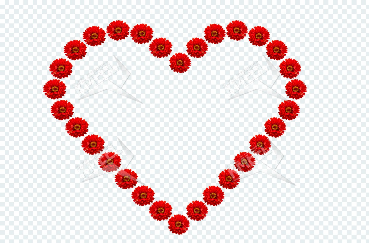 1246x819 Heart Symbol On The Transparent Background Composed Of Red Flowers
