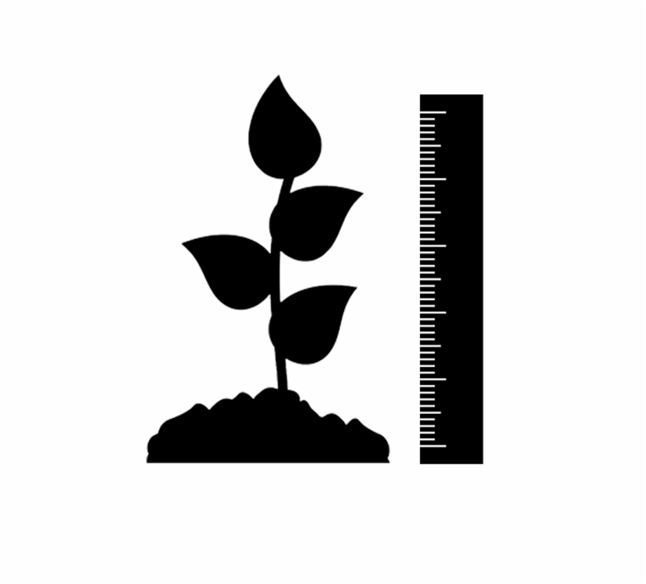 920x831 Plant Height Icon