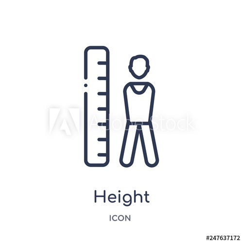 500x500 Height Icon From User Interface Outline Collection Thin Line