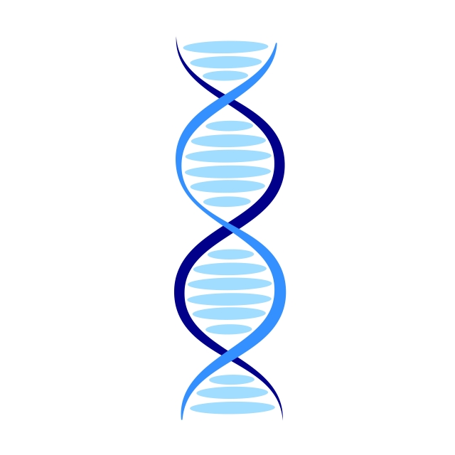 640x640 Dna Helix Icon Vector Illustration, Background, Biology