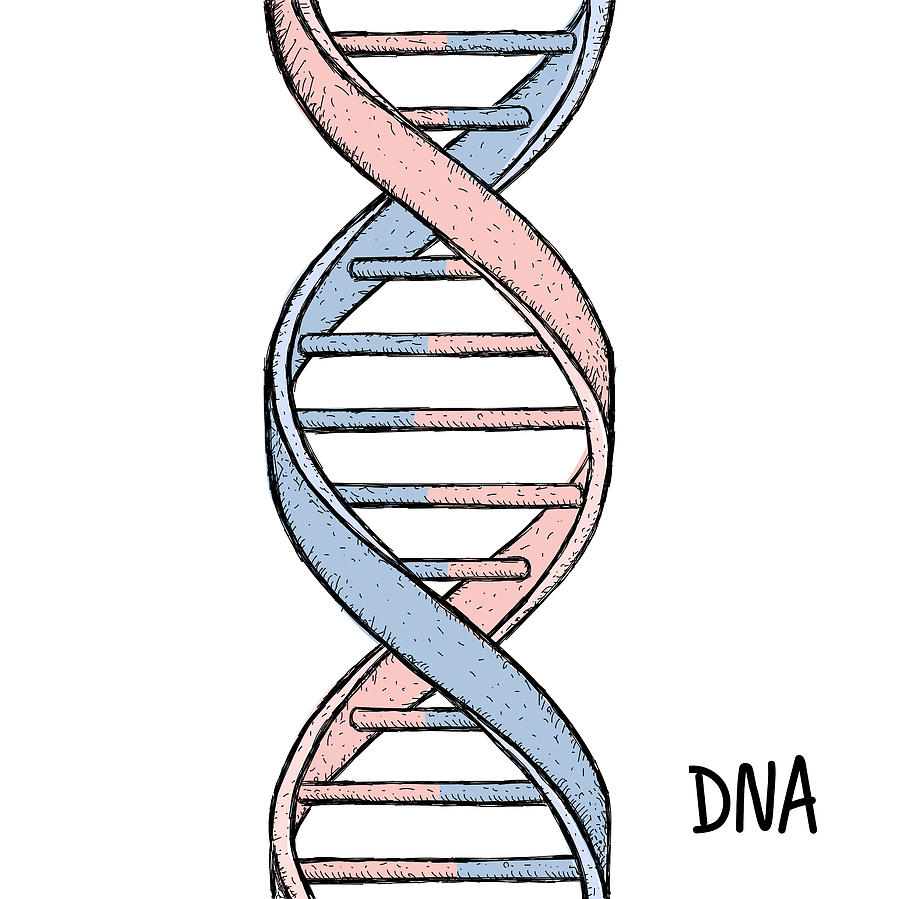 900x899 Gold Dna Dna Symbol Dna Helix Symbol Gene Icon Drawing