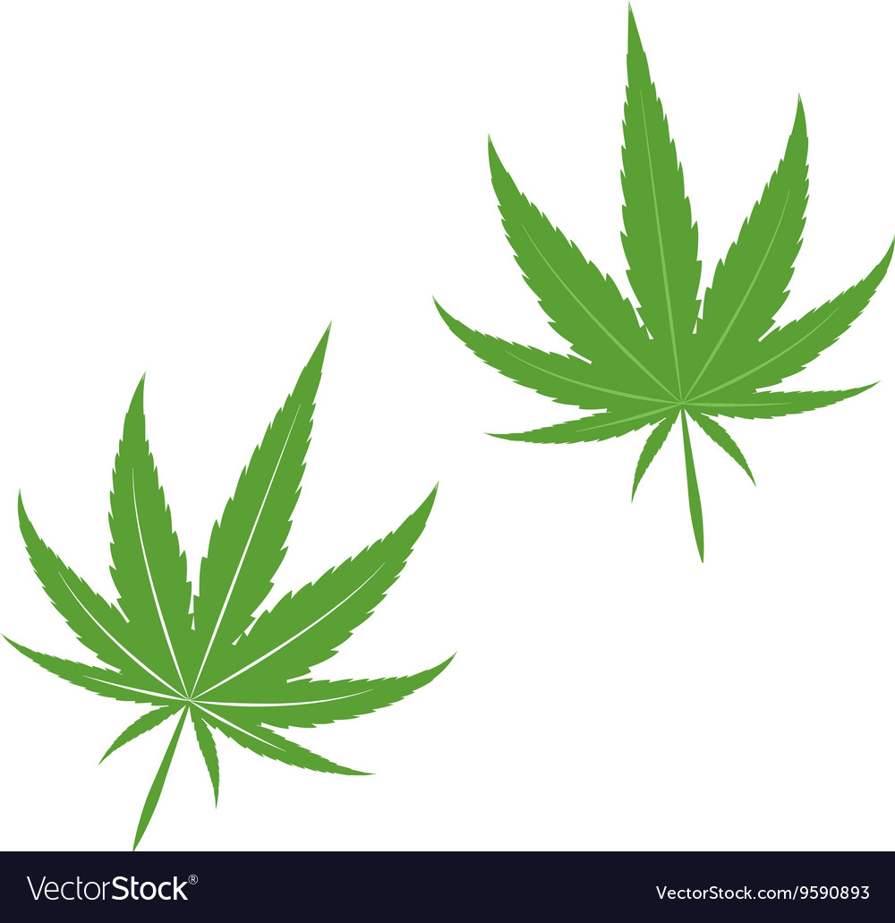 1000x1031 Cannabis Leaf Icon