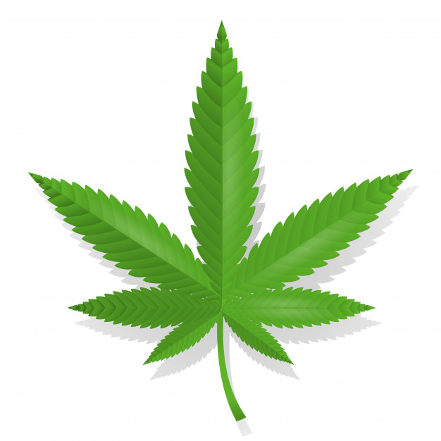 626x626 Cannabis Leaf Icon Vector Free Download