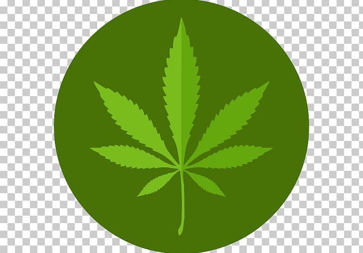728x508 Medical Cannabis Kush Medical Marijuana Card Icon Png, Clipart