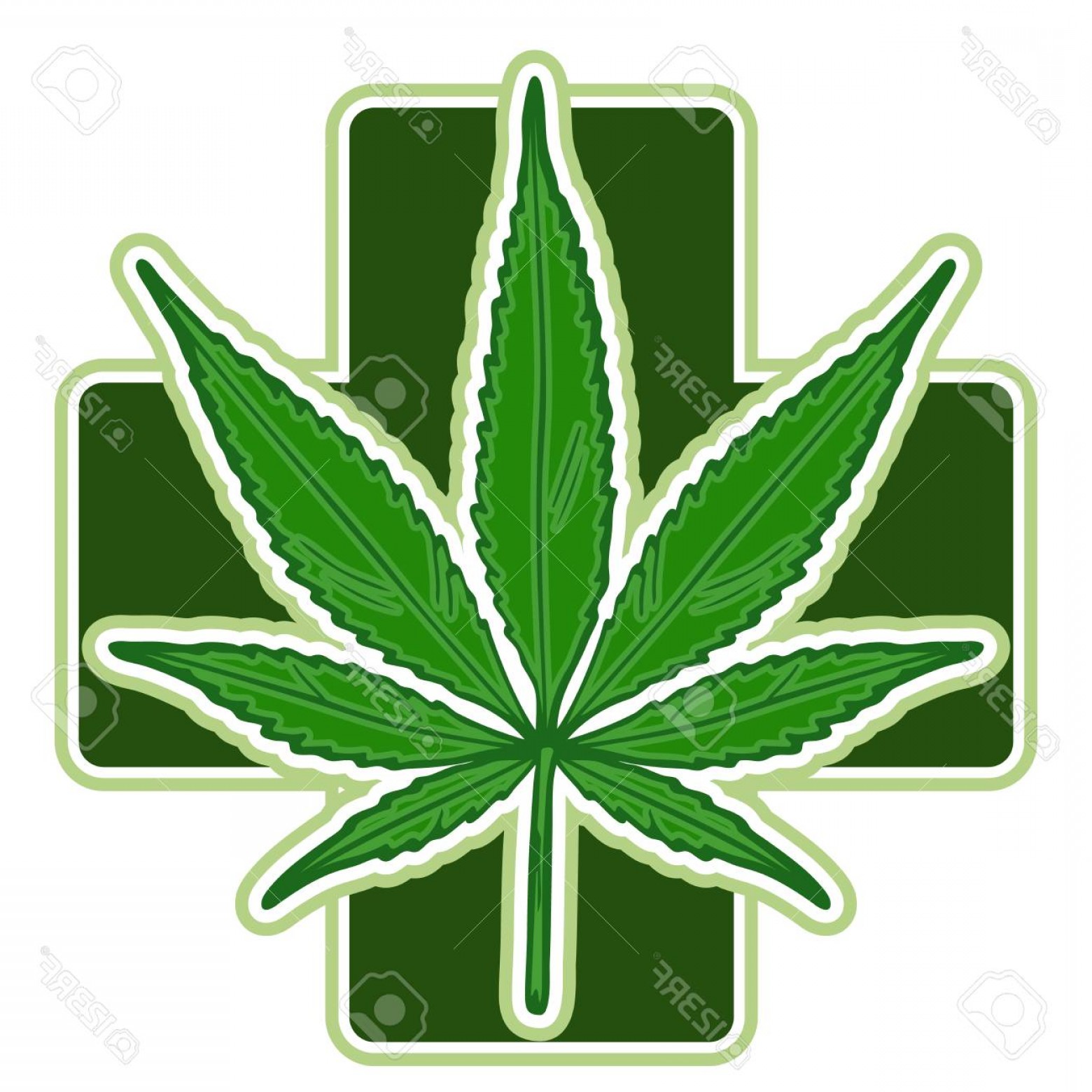 1560x1560 Photostock Vector Marijuana Leaf Medical Cannabis Hemp Oil Natural