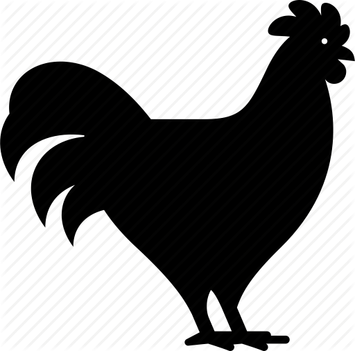 512x506 Animal, Bird, Chicken, Farm, Farmer's Market, Hen, Poultry Icon
