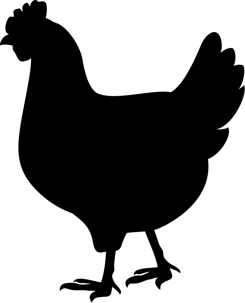 795x981 Hen Png Icon Free Download