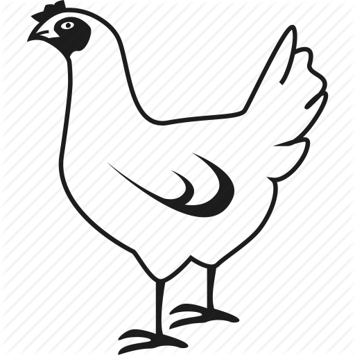 512x512 Animal, Chicken, Farm, Hen Icon