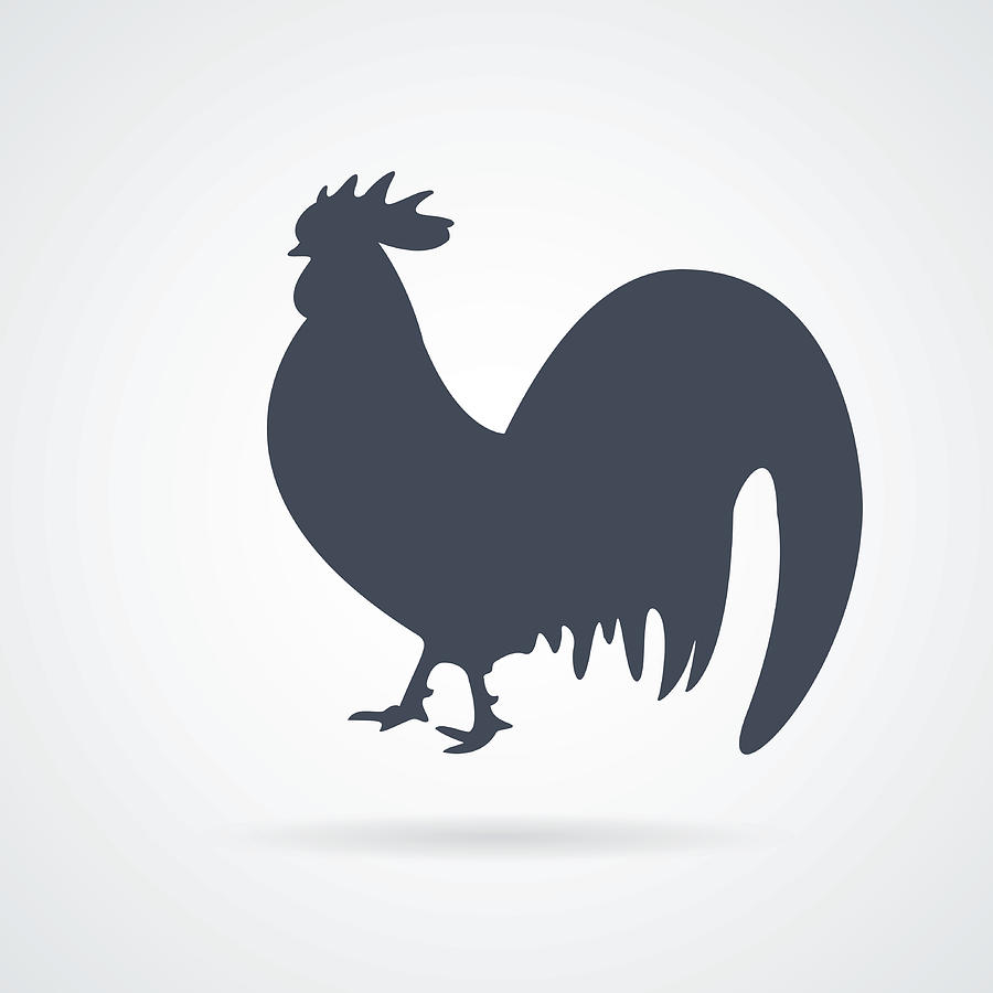 900x900 Hen Icon Simple Flat Rooster Icon Silhouette Of Chicken