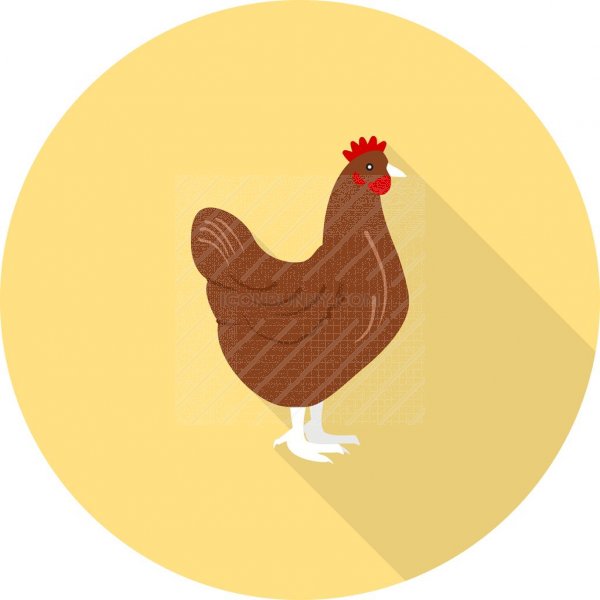 600x600 Chicken Flat Shadowed Icon