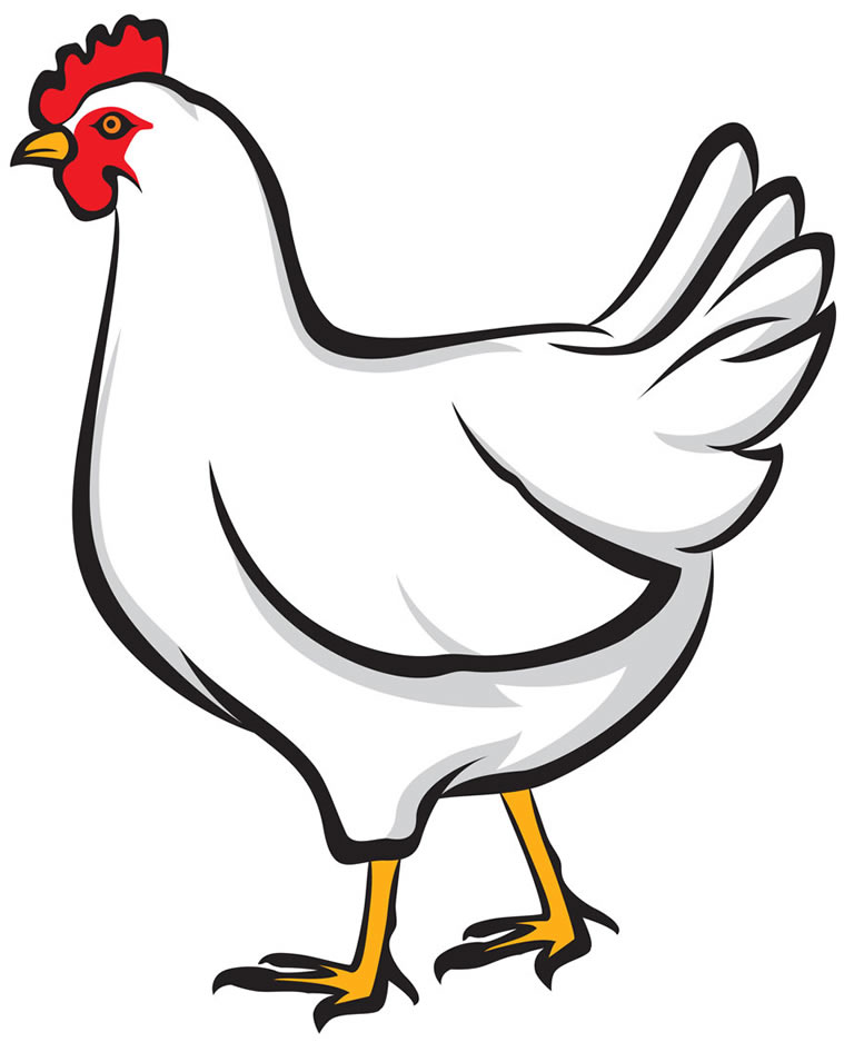 759x937 Download Free Png Hen Icon