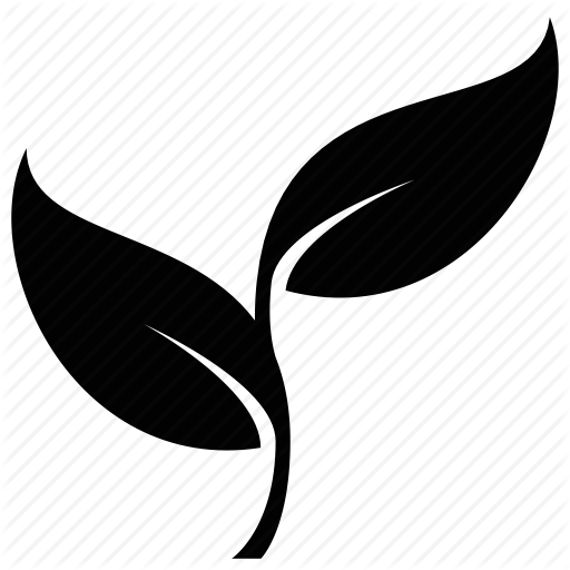 512x512 Cook, Food, Herb, Kitchen Icon